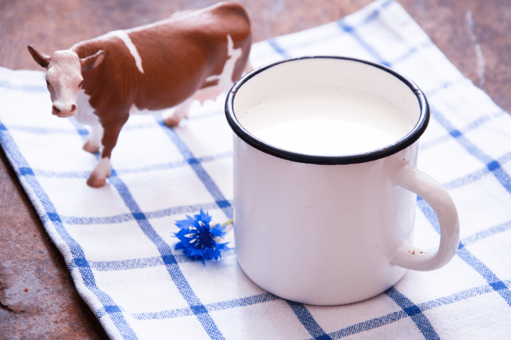 zažívací problémy a kravské mléko s laktózou