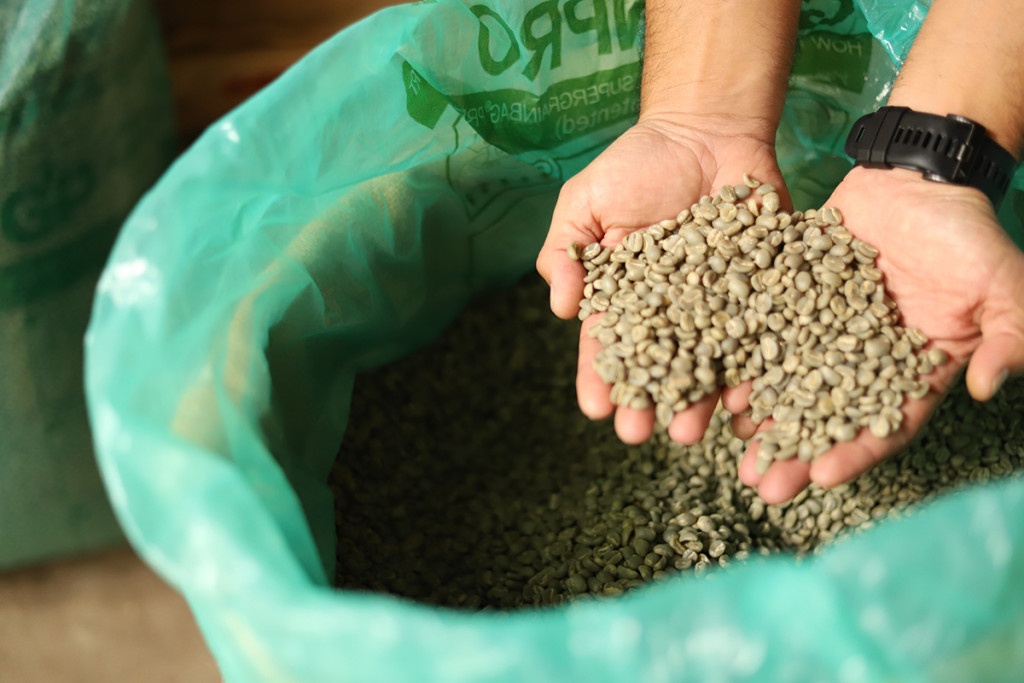zelená kávová zrna v grainpro pytli