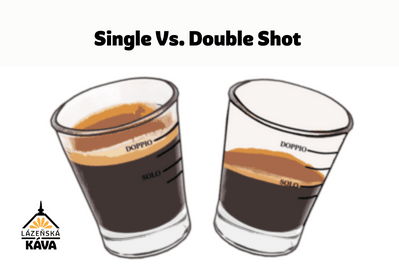 Single Vs. Double Shot
