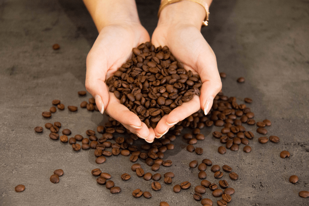 Jak se třídí zrnka kávy ve výběrové pražírně?