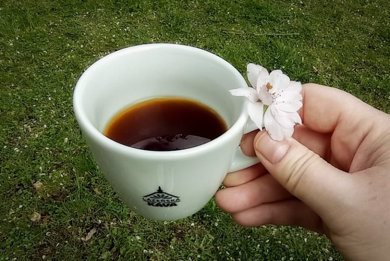 šálek kávy na jaře