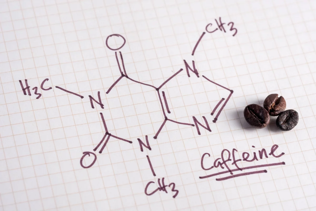 Molekula kofeinu | harvard.edu